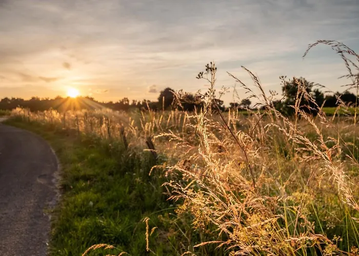 Nathalie Et Sebastien La Brede